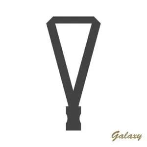 Lanyard